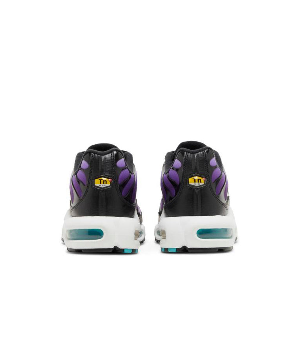 Nike Air Max Plus Purple