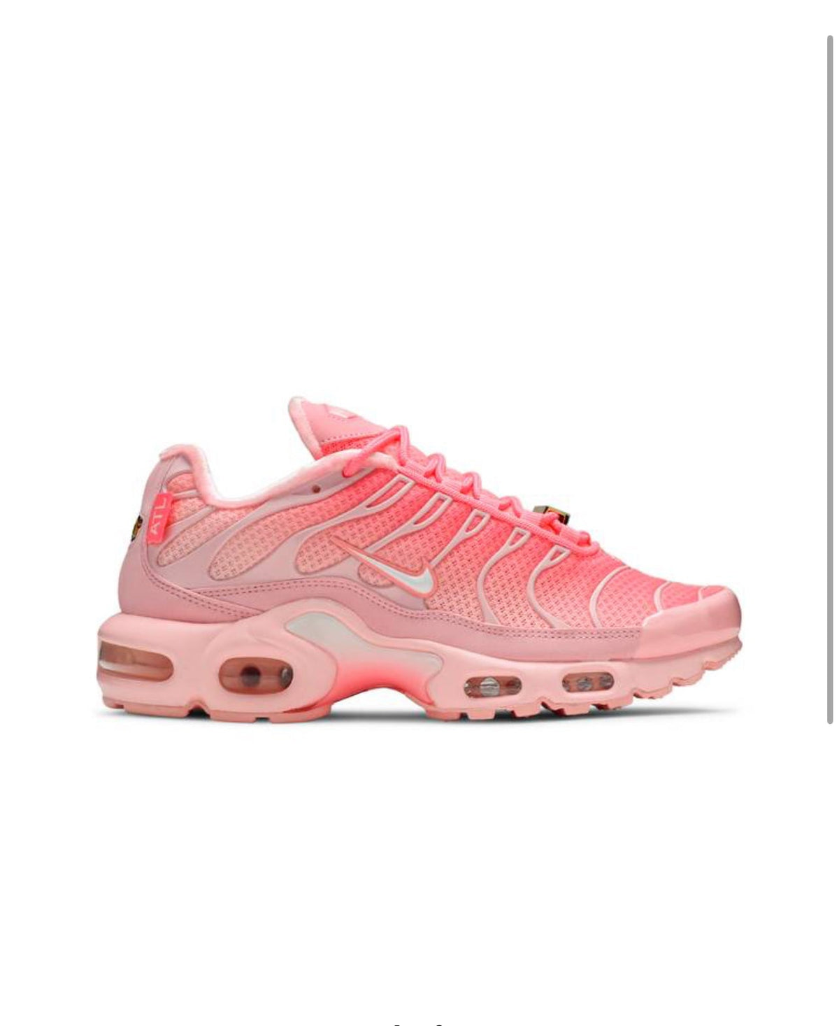 Nike Air Max Plus Atlanta