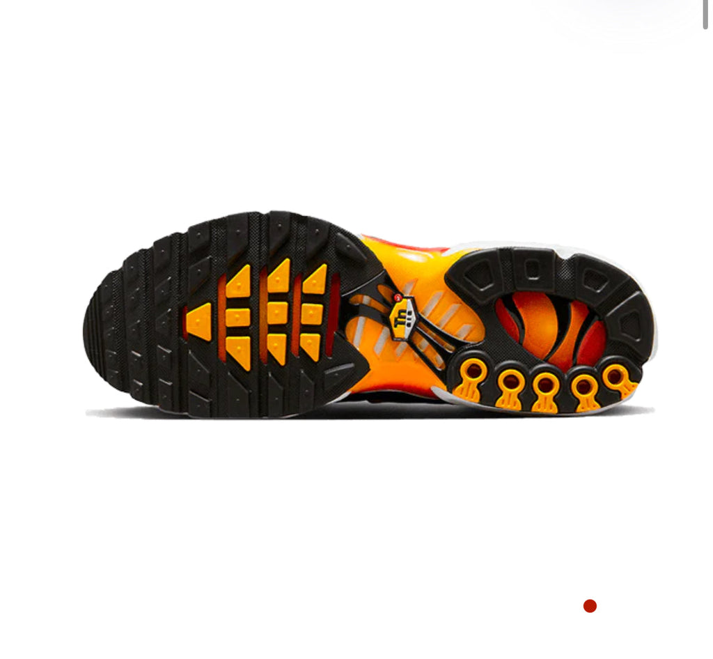 Nike Air Max Plus OG