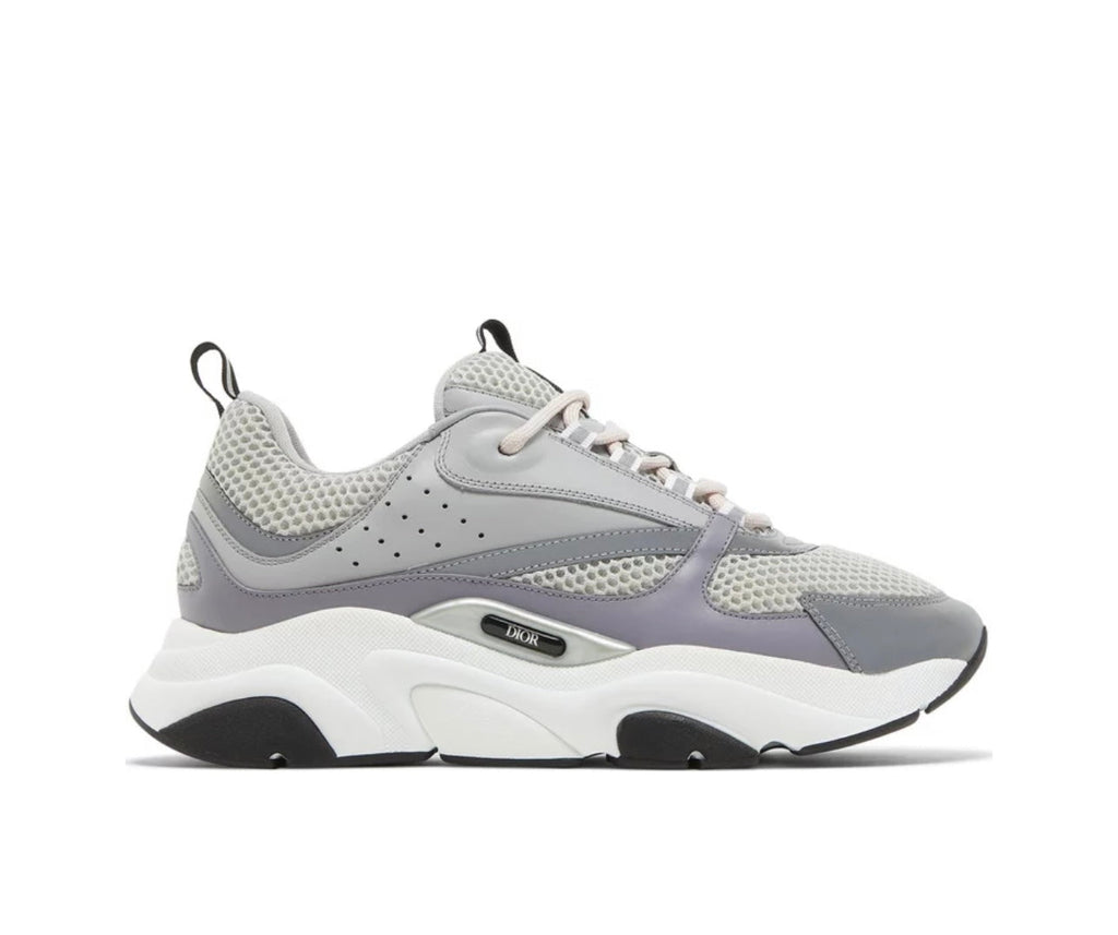 Dior B22 Grey