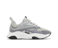 Dior B22 Grey