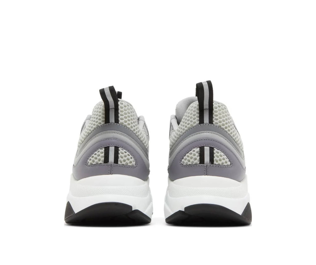 Dior B22 Grey