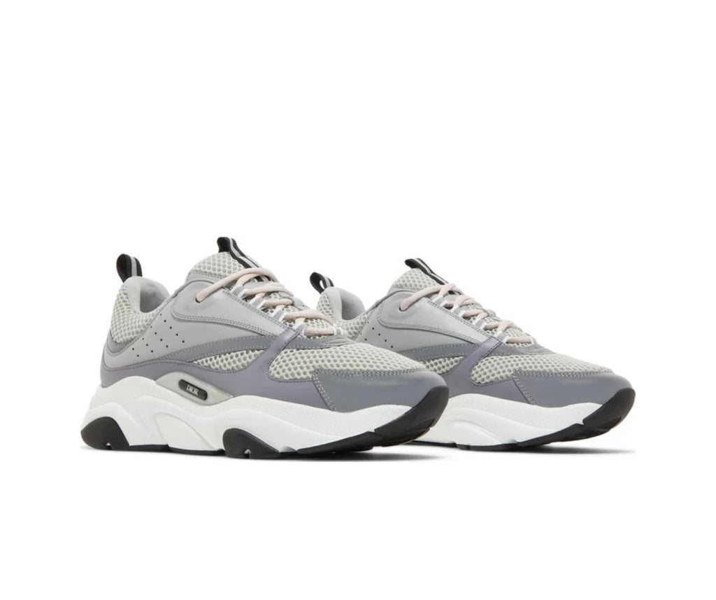 Dior B22 Grey